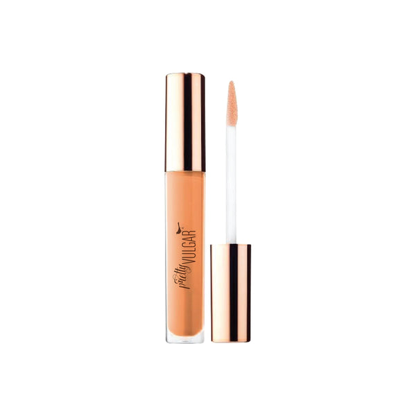 Under Cover Concealer | Pretty Vulgar