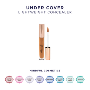 Under Cover Concealer | Pretty Vulgar