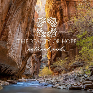 Zion 8oz Candle | The Beauty of Hope