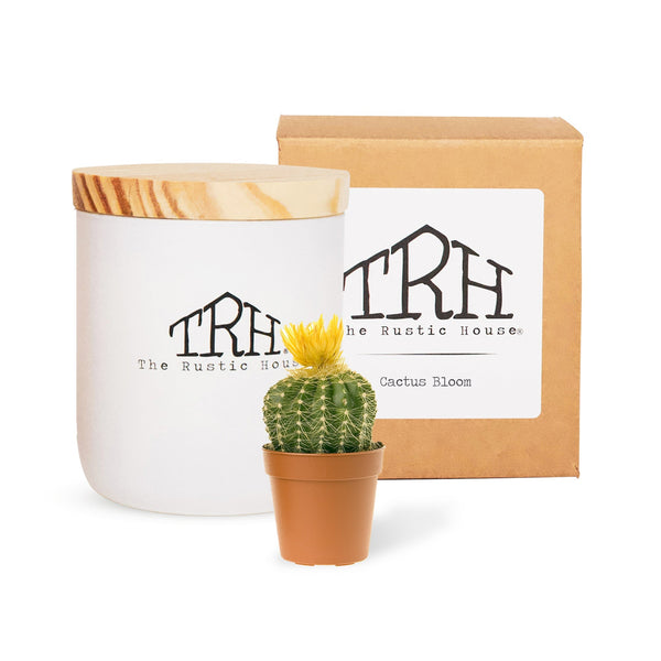 Cactus Bloom Glass Candle | The Rustic House